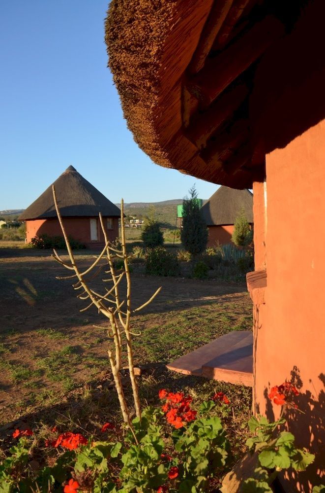 Bama Lodge Rietfontein Kültér fotó